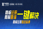 國際商標(biāo)注冊選擇哪個方式好?